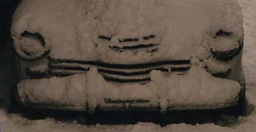 Автоанабиоз