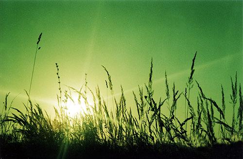 Утро Нового мира