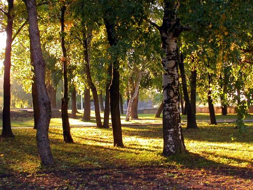 Городской парк