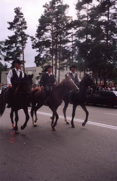 Настоящие ковбои на вороных скакунах