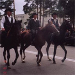 Настоящие ковбои на вороных скакунах