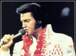 Elvis