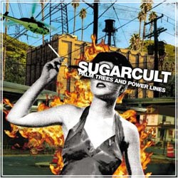 SUGARCULT Palm Trees & Power Lines
