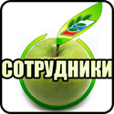Сотрудники