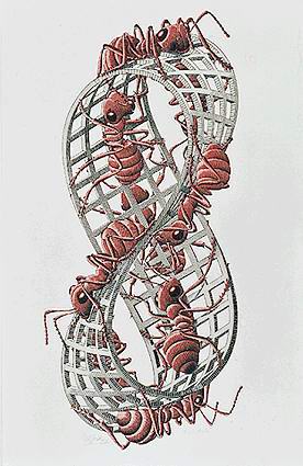 Escher: Moebius Strip II