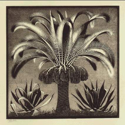 Escher: Palm