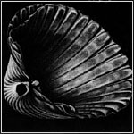 Escher: Sea-shells