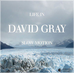 DAVID GRAY Life In Slow Motion