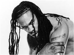 BUSTA RHYMES The Big Bang