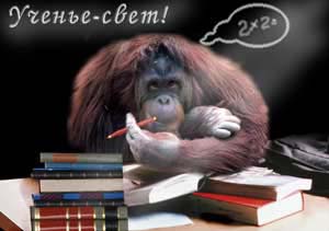 Ksyuha - RE: Музыка: кто что любит?