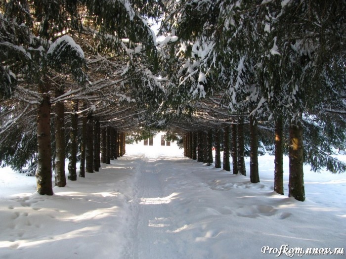 Студенческая зима024