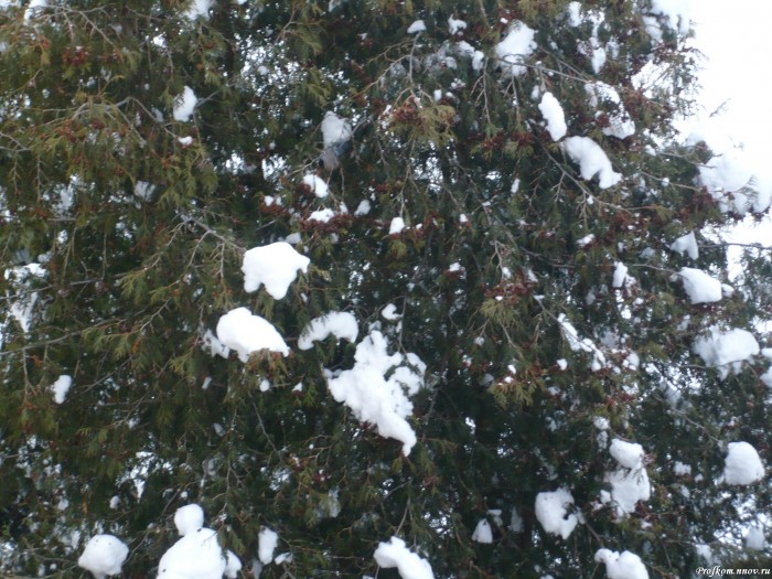 Студенческая зима_037