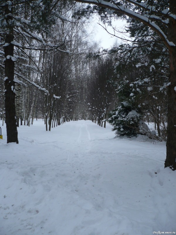 Студенческая зима_038