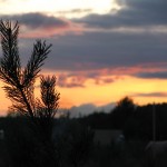 Номинация - Пейзаж: Мой друг, отчизне посвятим души прекрасные порывы