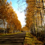 Номинация - Пейзаж: Мой друг, отчизне посвятим души прекрасные порывы