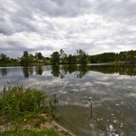 Номинация - Пейзаж: Мой друг, отчизне посвятим души прекрасные порывы