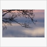 _DSC8344