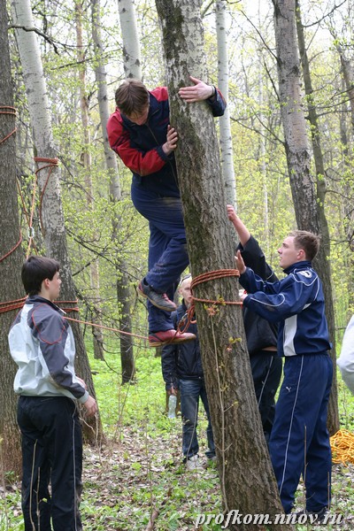 зарница_157