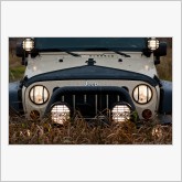 Jeep Wrangler Rubicon