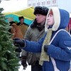 Почем елочка?