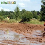 Кубок Губернатора (ЭкстримЛенд)